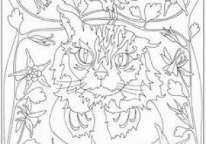 Dover Sampler Coloring Pages 420 Best Color Animal Pages Images