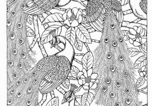 Dover Sampler Coloring Pages Nature Scapes Coloring Book Sample Dover Color It