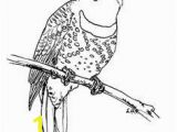 Downy Woodpecker Coloring Page Pileated Woodpecker Coloring Page Elegant Downy Woodpecker Coloring
