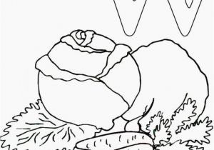 Dragon Ball Z Goku Coloring Pages Wonderful Coloring Pages Dragon Balls to Print Picolour