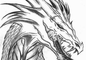 Dragon Head Coloring Pages Free Drawing Patterns to Trace