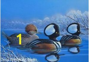 Duck Hunting Wall Murals 581 Best Wildlife Painting Images