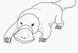 Duckbill Platypus Coloring Page Best Duckbill Platypus Coloring Page Coloring Pages