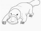 Duckbill Platypus Coloring Page Best Duckbill Platypus Coloring Page Coloring Pages