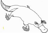 Duckbill Platypus Coloring Page Coloring Pages Duck Billed Platypus Coloring Pages