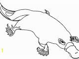 Duckbill Platypus Coloring Page Coloring Pages Duck Billed Platypus Coloring Pages