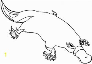 Duckbill Platypus Coloring Page Coloring Pages Duck Billed Platypus Coloring Pages