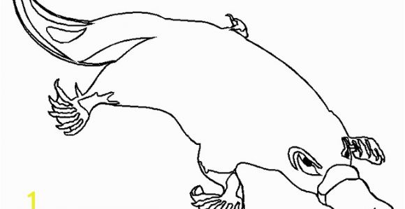 Duckbill Platypus Coloring Page Coloring Pages Duck Billed Platypus Coloring Pages