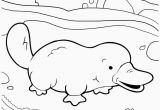 Duckbill Platypus Coloring Page Duck Billed Platypus Coloring Page Duckbill