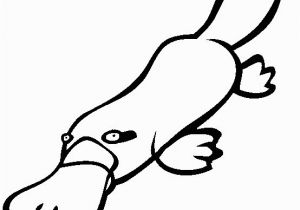 Duckbill Platypus Coloring Page Duck Billed Platypus Coloring Page Duckbill