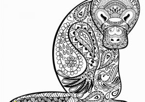 Duckbill Platypus Coloring Page Duck Billed Platypus Coloring Page Duckbill