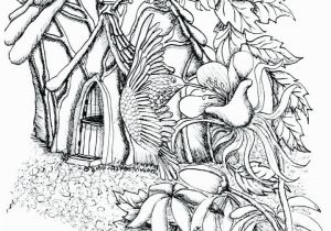 Dune Buggy Coloring Pages Garden Coloring Pages Beautiful Graphy Kids Garden