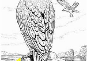 Eagle Mandala Coloring Pages 56 Besten Mandala Tiere Bilder Auf Pinterest