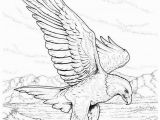 Eagle Mandala Coloring Pages Coloring Pages Bald Eagles Wild Eagle Sketches Kids Coloring