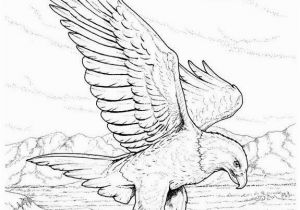 Eagle Mandala Coloring Pages Coloring Pages Bald Eagles Wild Eagle Sketches Kids Coloring