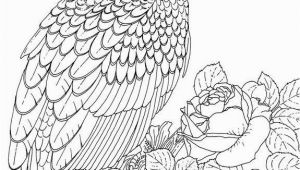 Eagle Mandala Coloring Pages Eagles Lions Of the Sky Coloring Pages Birds