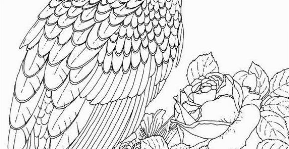 Eagle Mandala Coloring Pages Eagles Lions Of the Sky Coloring Pages Birds