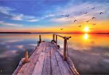 Early American Wall Murals Early Bird Dock Fly by Sunrise Sunset