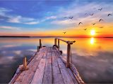 Early American Wall Murals Early Bird Dock Fly by Sunrise Sunset