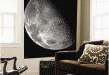 Earth Rising Wall Mural Beautiful Moon Wall Murals Artwork for Sale Posters and