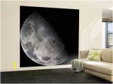 Earth Rising Wall Mural Beautiful Moon Wall Murals Artwork for Sale Posters and