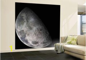 Earth Rising Wall Mural Beautiful Moon Wall Murals Artwork for Sale Posters and