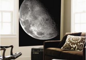 Earth Rising Wall Mural Beautiful Moon Wall Murals Artwork for Sale Posters and