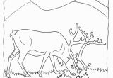 Earth to Echo Coloring Pages Real Reindeer Coloring Pages From Our Real Animal Coloring Pages