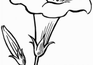 Easy Flower Coloring Pages Free Printable Flower Coloring Pages for Kids