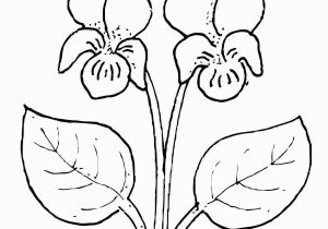 Easy Flower Coloring Pages Violet Flower Super Coloring