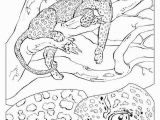 Edupics Com Coloring Pages Coloring Page Leopard Free Printable Coloring Pages