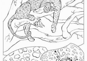 Edupics Com Coloring Pages Coloring Page Leopard Free Printable Coloring Pages