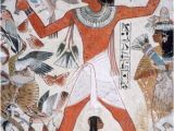 Egyptian Murals and Paintings tomb Of Nebamun thebes Egypt 18th Dynasty C1350 Bc Amod