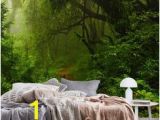 Enchanted forest Bedroom Wall Mural 233 Best forest Wall Murals Images In 2019