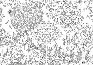 Enchanted forest Coloring Pages Pdf Awesome Enchanted forest Coloring Pages Pdf