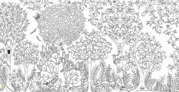 Enchanted forest Coloring Pages Pdf Awesome Enchanted forest Coloring Pages Pdf