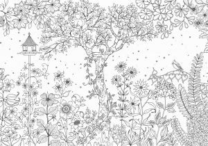 Enchanted forest Coloring Pages Pdf Colouring Books Created by Johanna Basford Secret Garden and