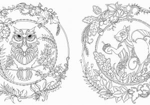 Enchanted forest Coloring Pages Pdf Enchanted forest An Inky Quest & Coloring Book [us Import] Amazon
