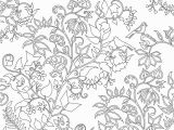 Enchanted forest Johanna Basford Coloring Pages Artist Johanna Basford Enchanted forest Coloring Pages