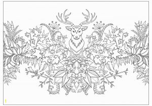 Enchanted forest Johanna Basford Coloring Pages Johanna Basford Coloring Pages Collection