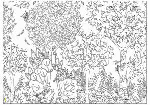 Enchanted forest Johanna Basford Coloring Pages Johanna Basford Coloring Pages Collection