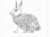 Enchanted forest Johanna Basford Coloring Pages Johanna Basford S Secret Garden and Enchanted forest Adult