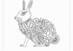 Enchanted forest Johanna Basford Coloring Pages Johanna Basford S Secret Garden and Enchanted forest Adult