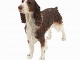 English Springer Spaniel Coloring Pages 2019 English Springer Spaniel Dog Figurine Animal Statue Resin Dog