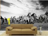 Equestrian Wall Mural 23 Best Horse Wall Murals Images