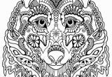 Eragon Coloring Pages Up Coloring Pages Coloring Pages for Kindergarten Best Coloring