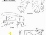 Eric Carle Coloring Pages 25 Best Downloadable Activities Images