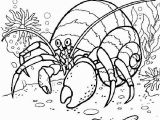 Eric Carle From Head to toe Coloring Pages Eric Carle From Head to toe Coloring Pages 28 Eric Carle Coloring