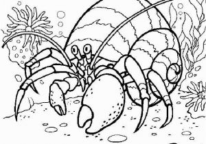 Eric Carle From Head to toe Coloring Pages Eric Carle From Head to toe Coloring Pages 28 Eric Carle Coloring
