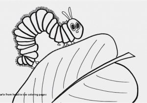 Eric Carle From Head to toe Coloring Pages Eric Carle From Head to toe Coloring Pages Coloring Pages Template